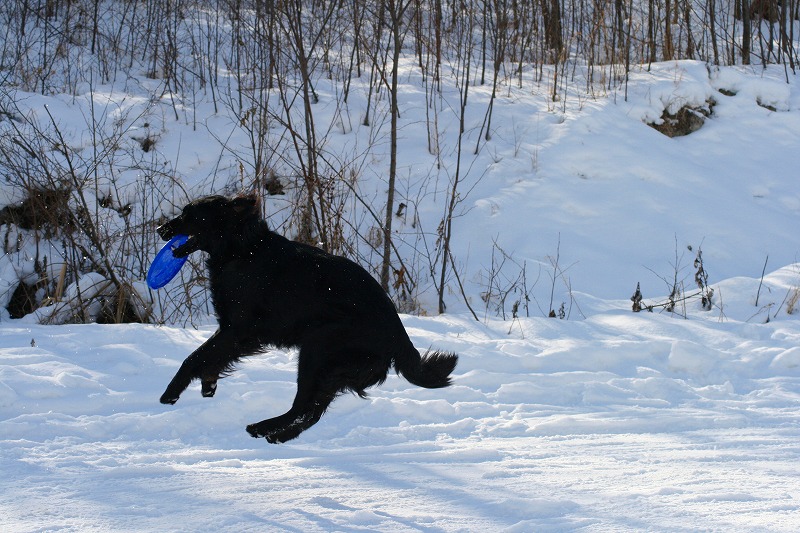 ファイル 48-1.jpg