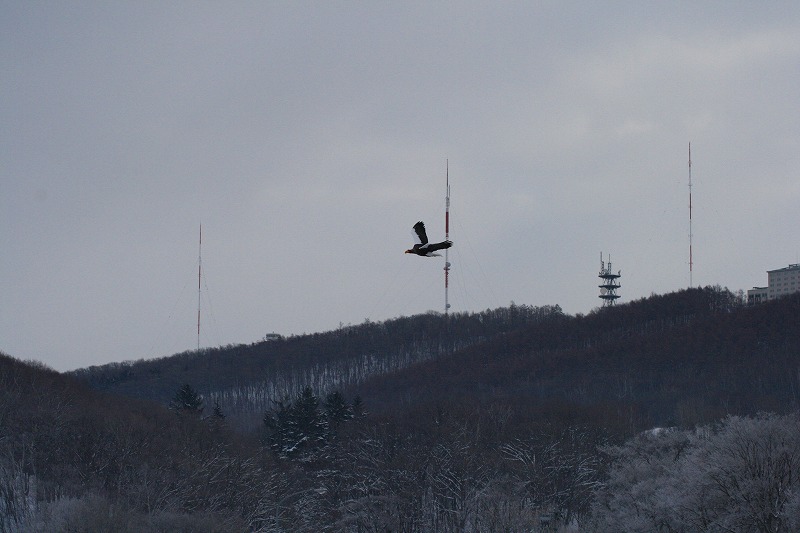 ファイル 50-5.jpg