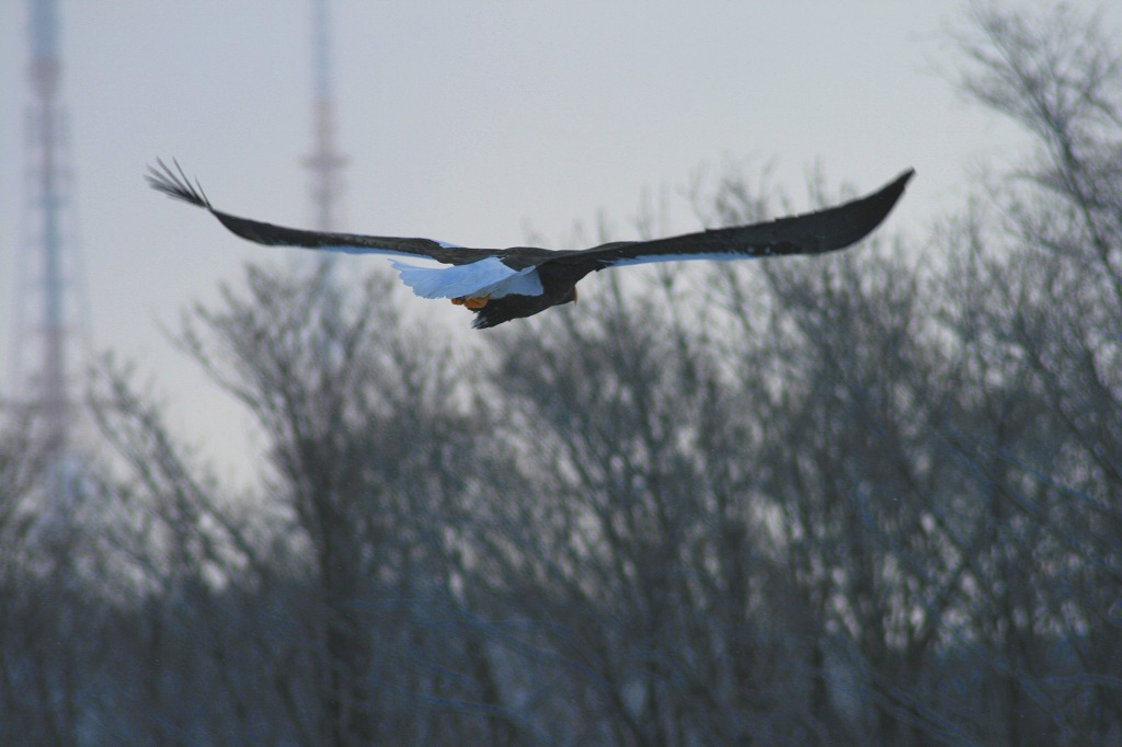 ファイル 51-3.jpg