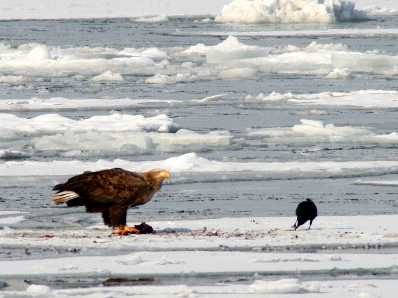 ファイル 53-3.jpg