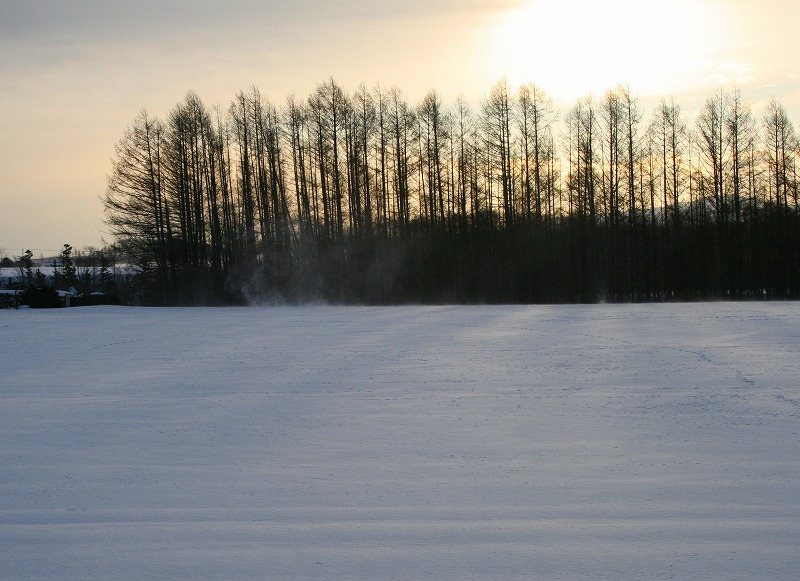 ファイル 60-1.jpg