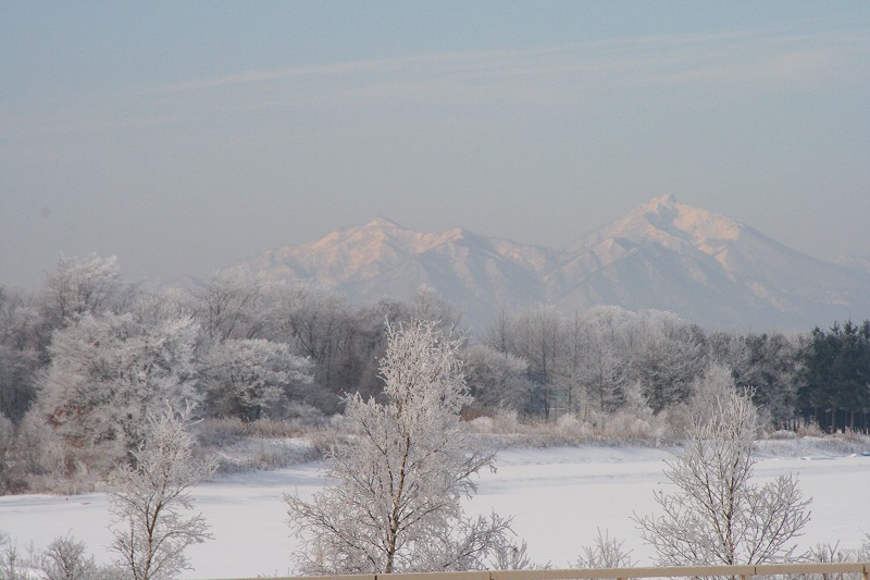 ファイル 62-2.jpg