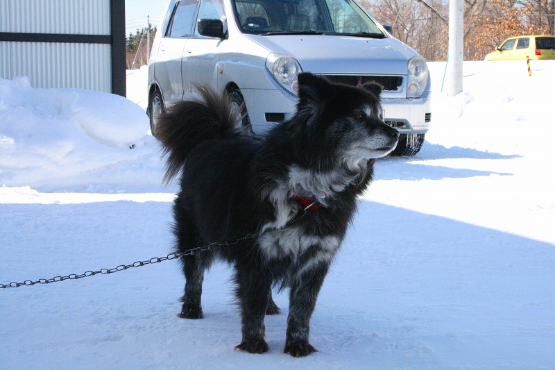 ファイル 66-1.jpg