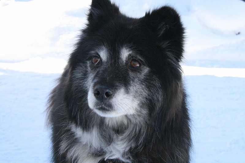 ファイル 66-3.jpg