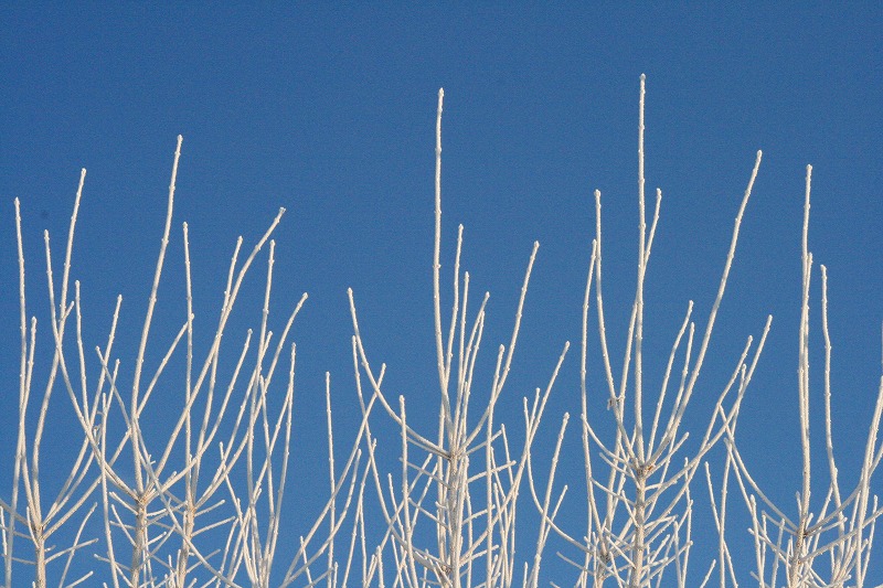 ファイル 67-2.jpg