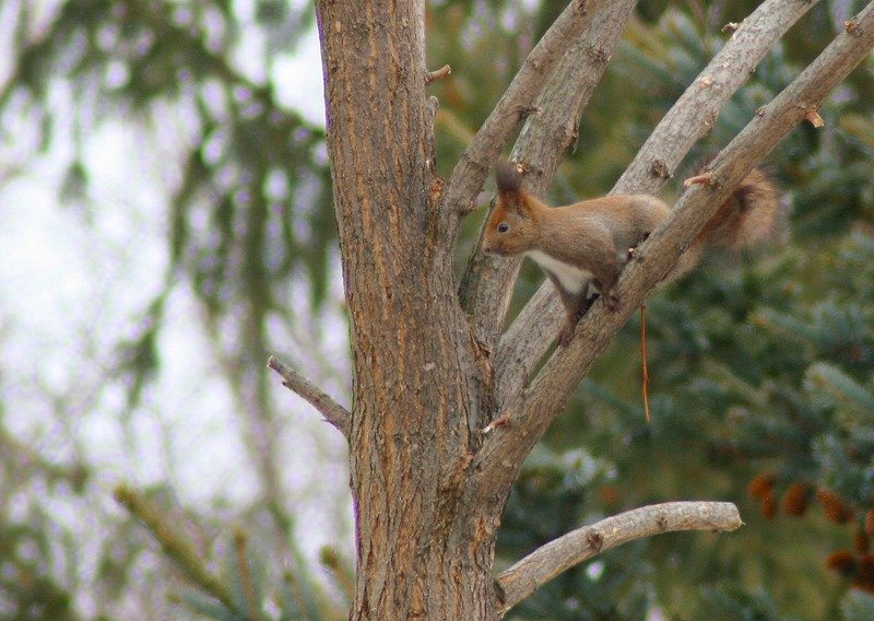 ファイル 72-1.jpg