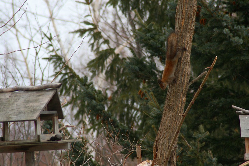 ファイル 72-2.jpg