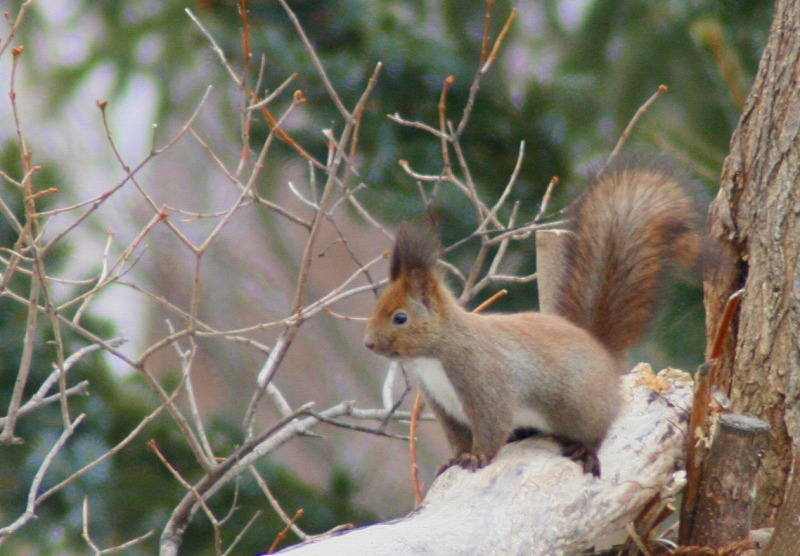 ファイル 72-3.jpg