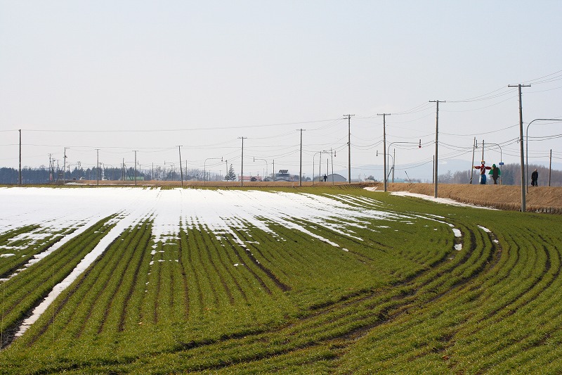 ファイル 73-1.jpg