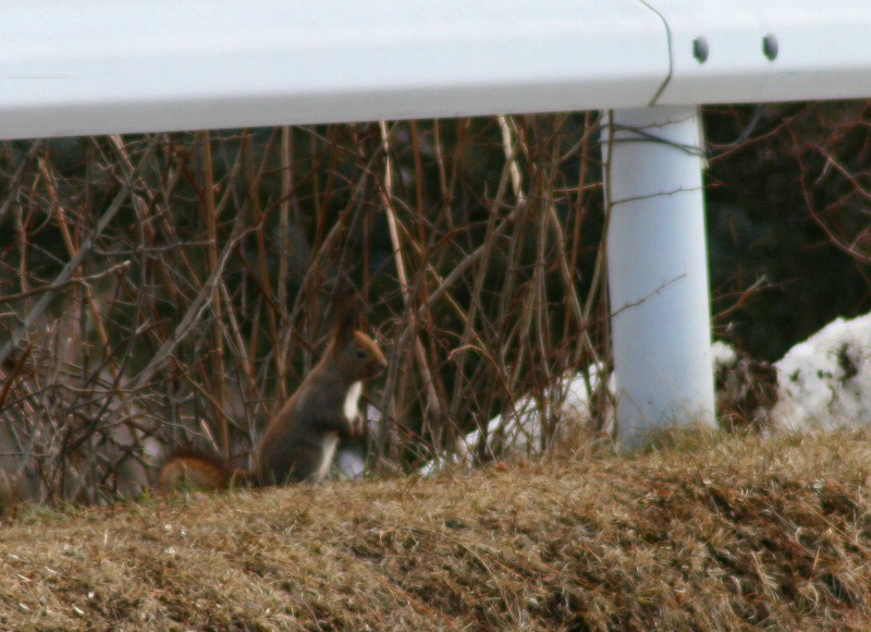 ファイル 73-2.jpg