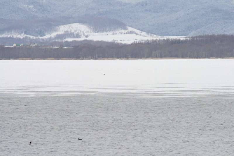 ファイル 76-1.jpg