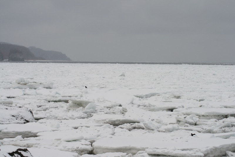 ファイル 76-2.jpg