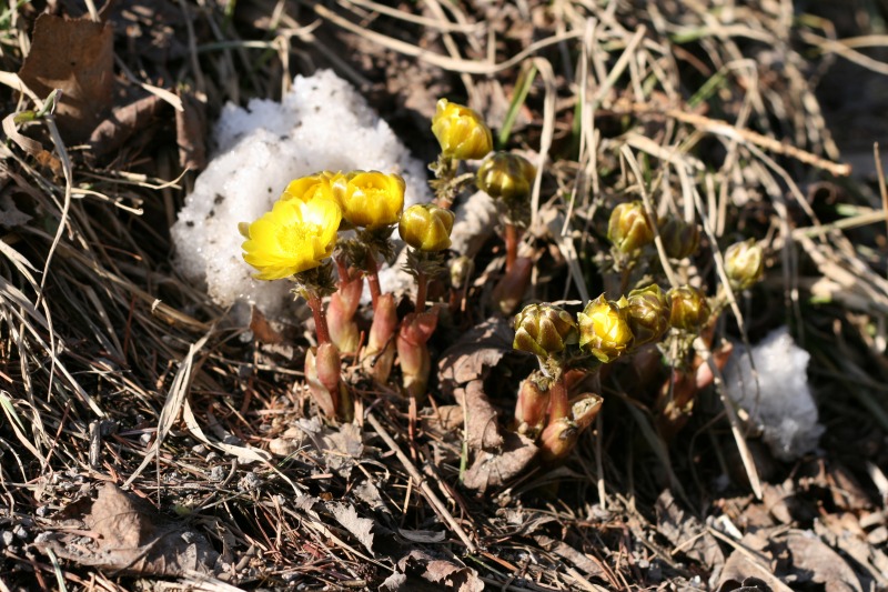 ファイル 77-2.jpg