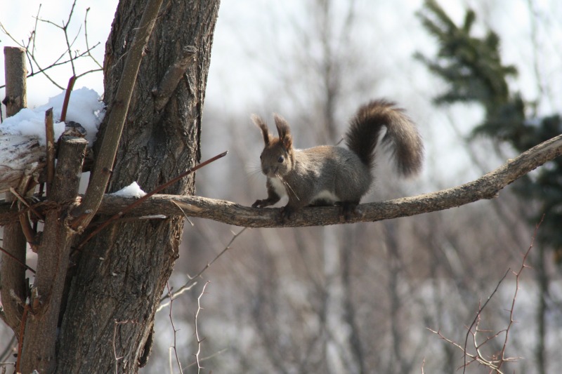 ファイル 79-3.jpg