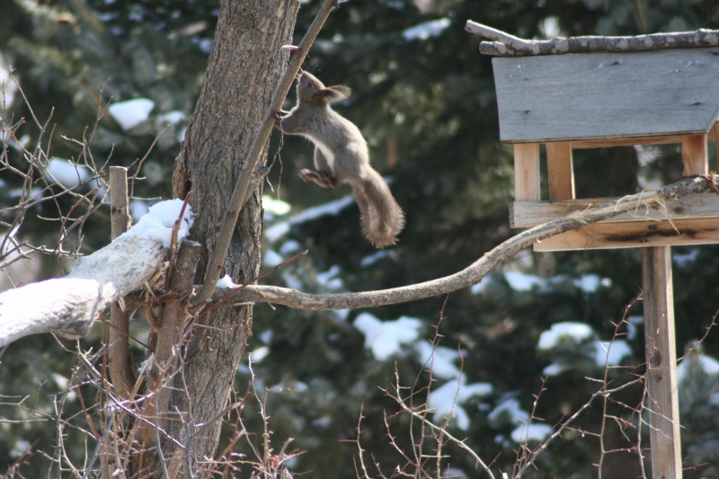 ファイル 79-4.jpg