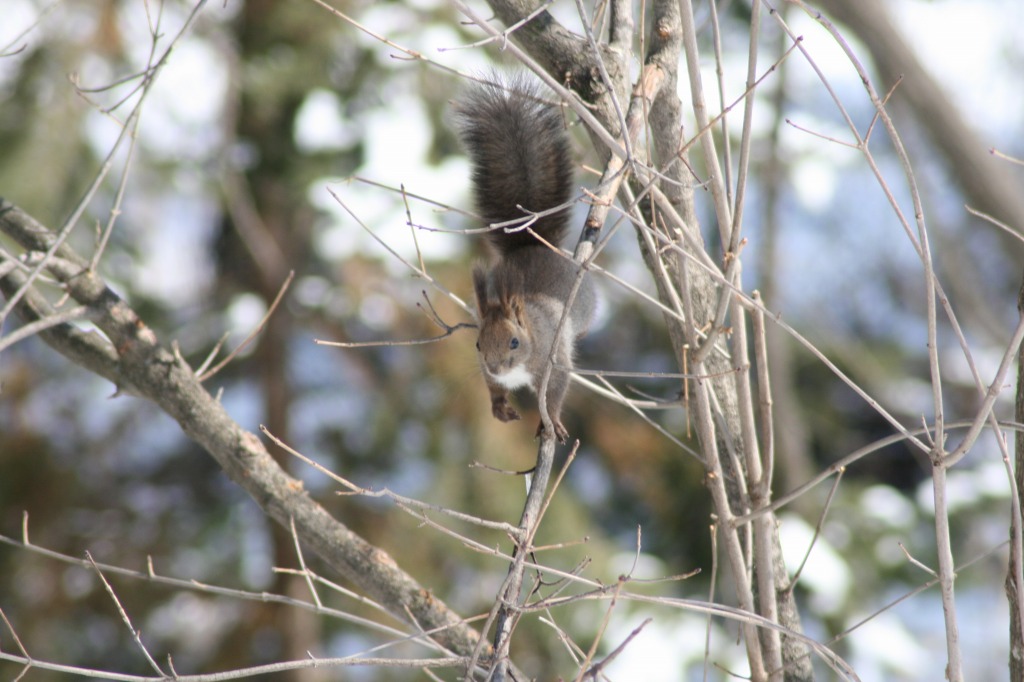 ファイル 79-5.jpg