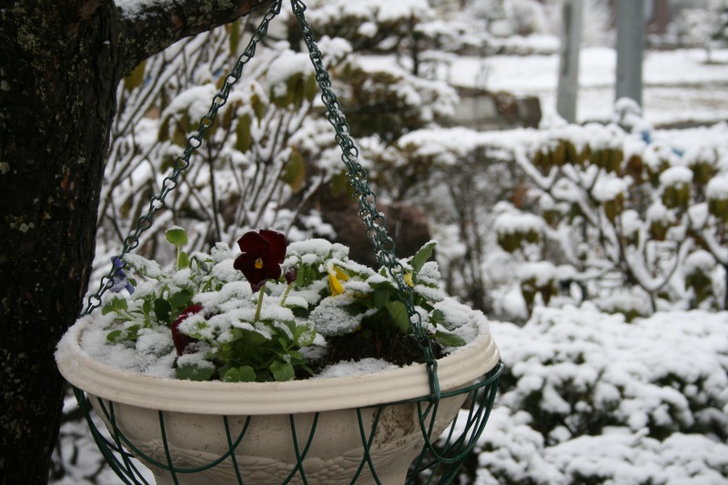 ファイル 80-1.jpg