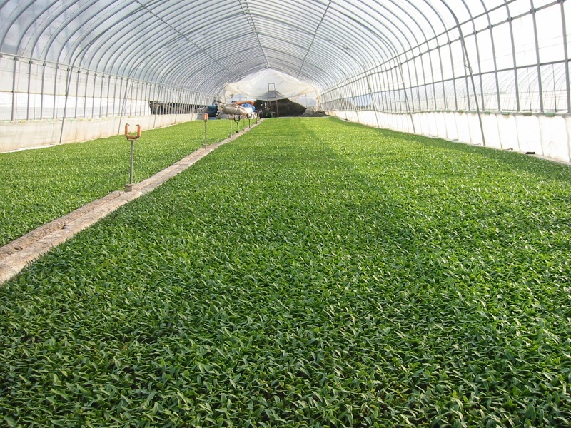 ファイル 81-2.jpg