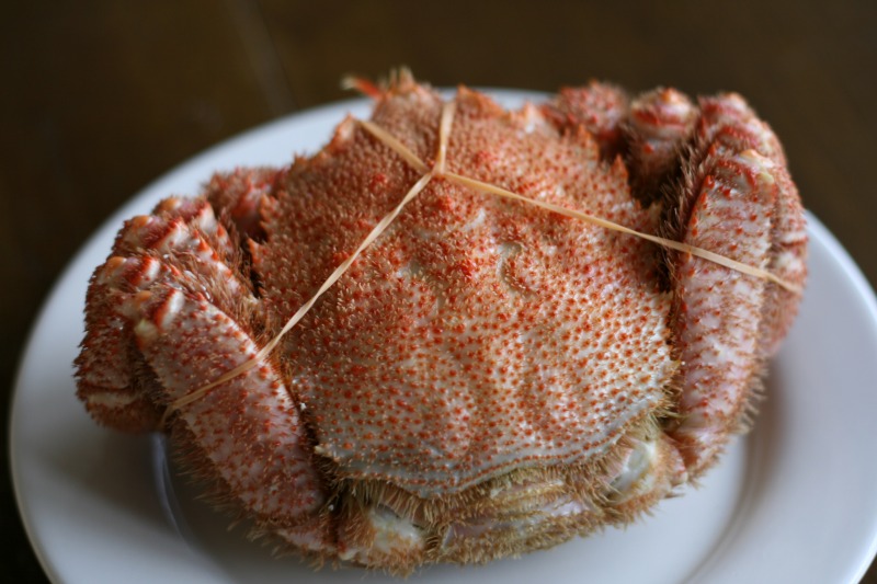 ファイル 81-3.jpg