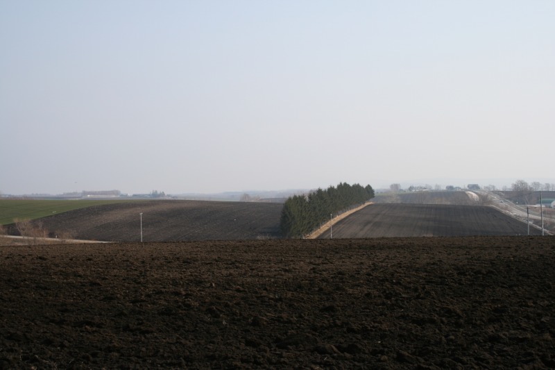 ファイル 82-1.jpg