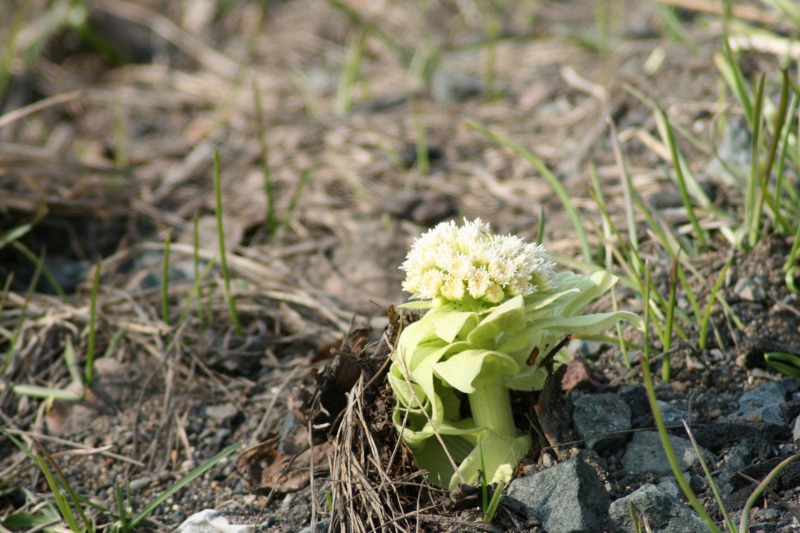 ファイル 82-3.jpg