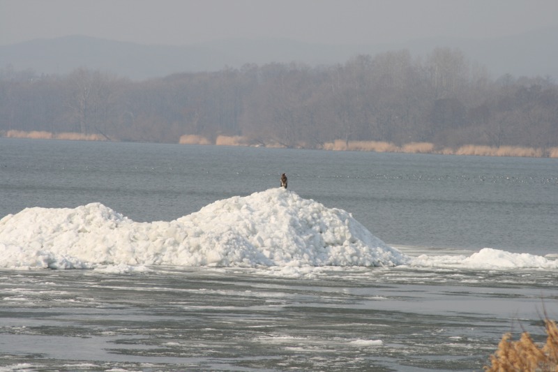 ファイル 82-4.jpg