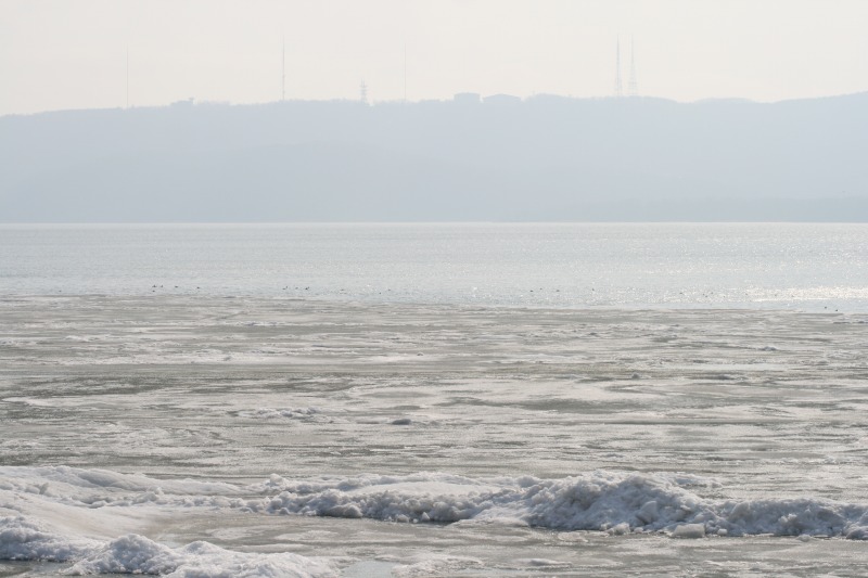 ファイル 82-5.jpg