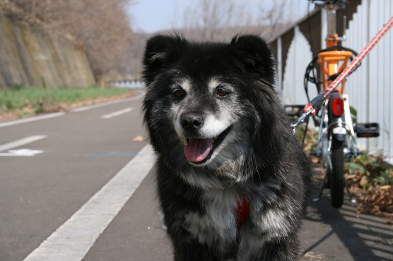 ファイル 84-2.jpg