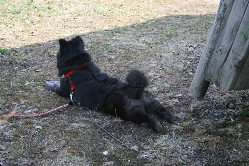 ファイル 85-2.jpg