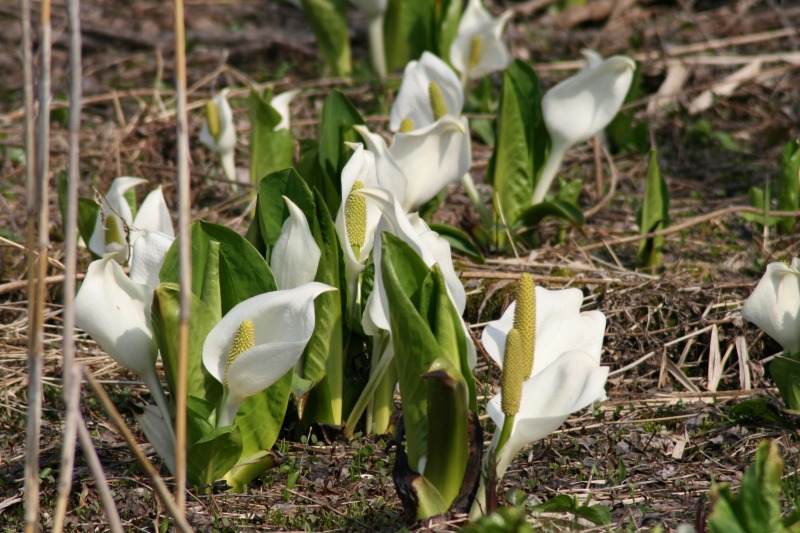 ファイル 86-2.jpg