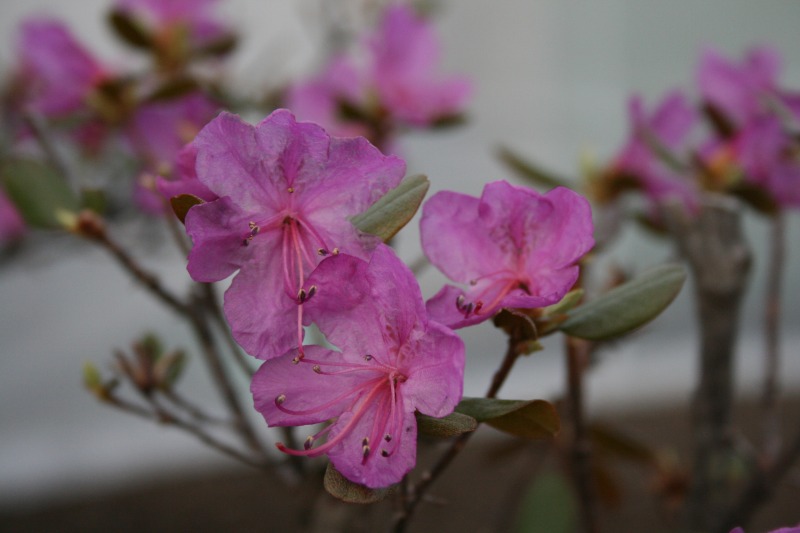 ファイル 86-3.jpg