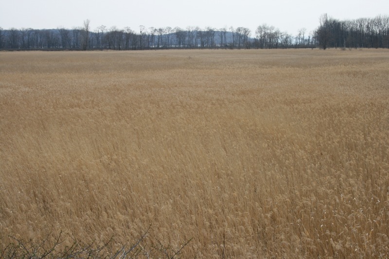 ファイル 86-5.jpg