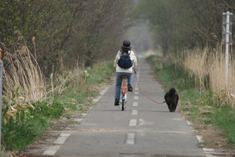 ファイル 88-2.jpg