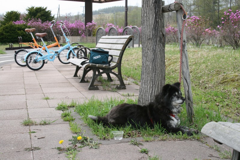 ファイル 88-3.jpg