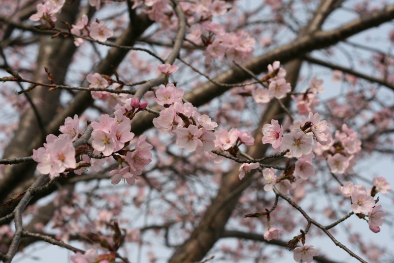 ファイル 89-2.jpg