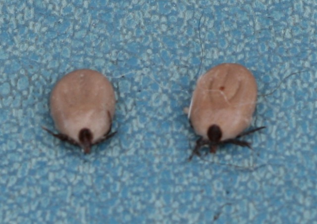 ファイル 90-3.jpg