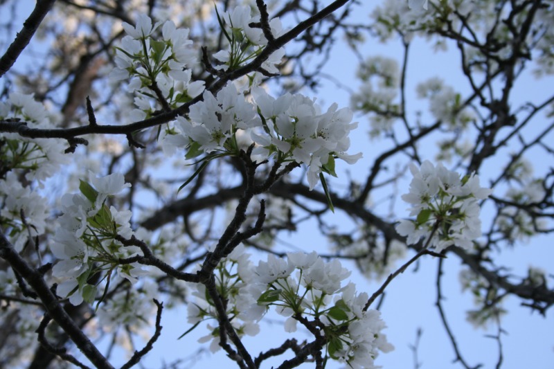 ファイル 91-3.jpg