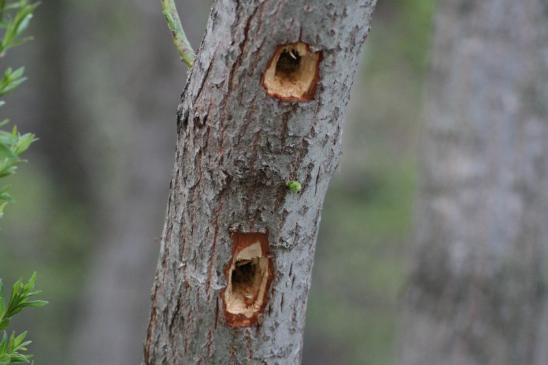 ファイル 91-4.jpg