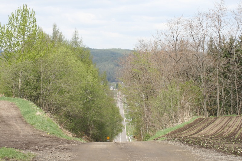 ファイル 93-1.jpg