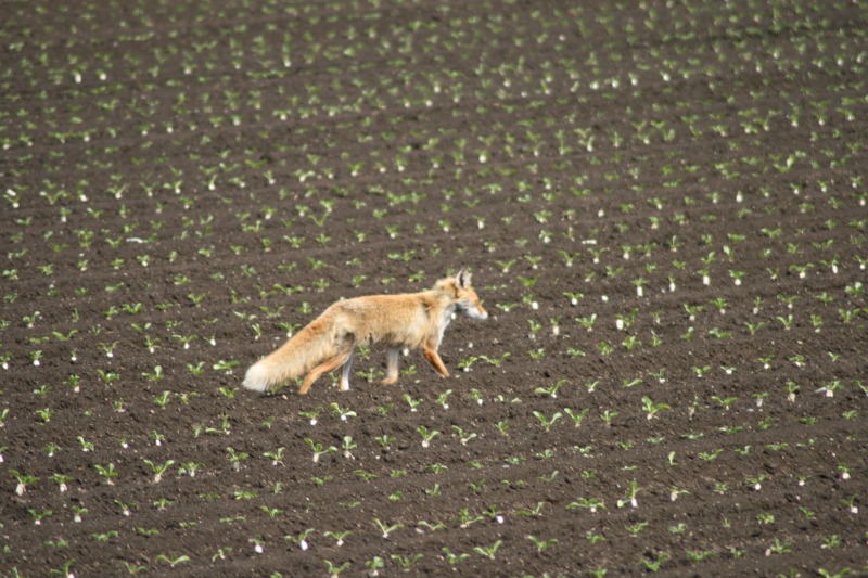 ファイル 93-2.jpg