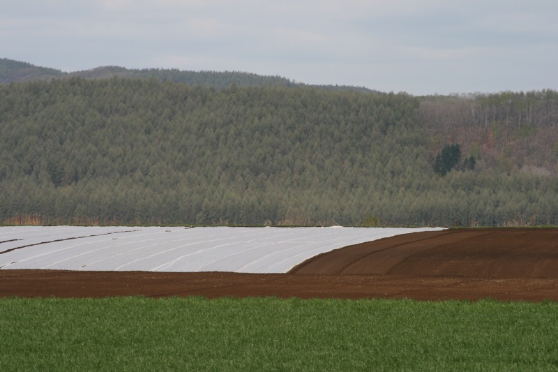 ファイル 93-3.jpg