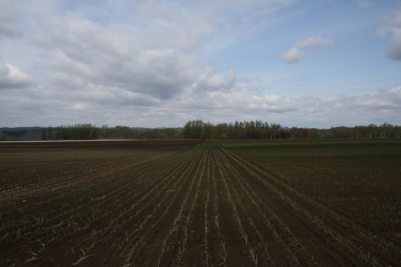 ファイル 94-1.jpg