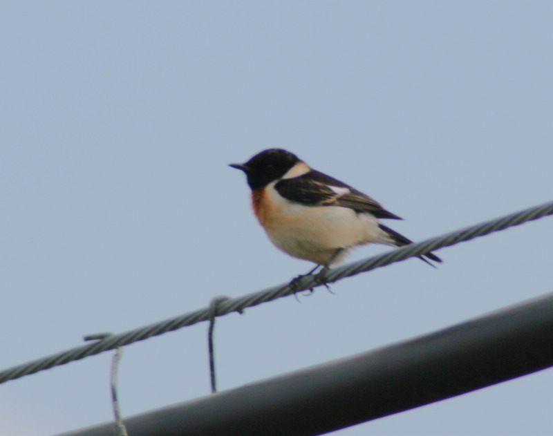 ファイル 94-3.jpg