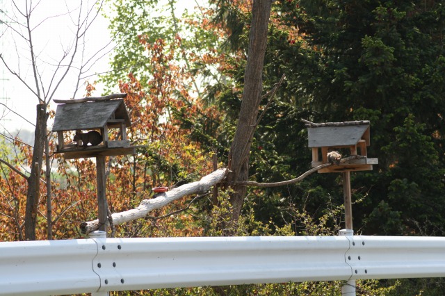 ファイル 97-1.jpg