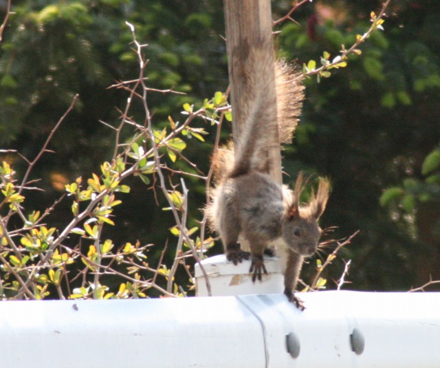 ファイル 97-2.jpg