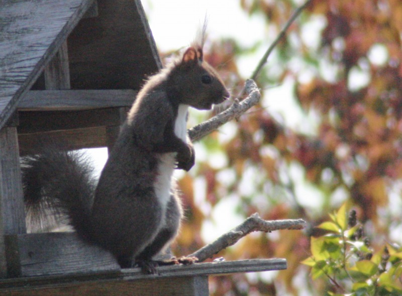 ファイル 97-4.jpg