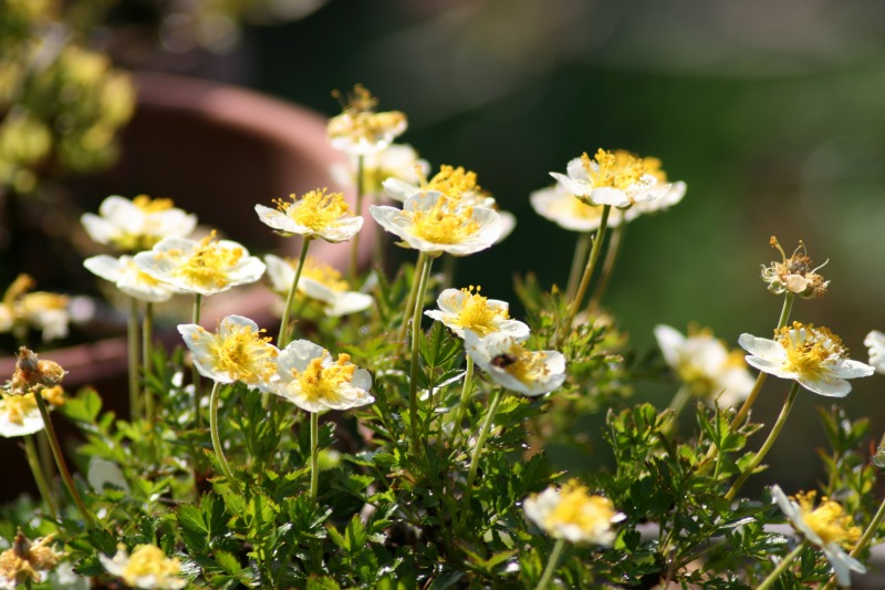 ファイル 98-2.jpg