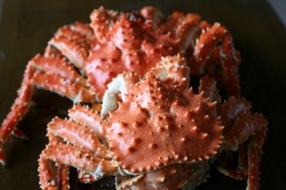 ファイル 99-1.jpg