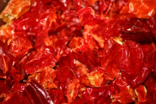 ファイル 99-2.jpg