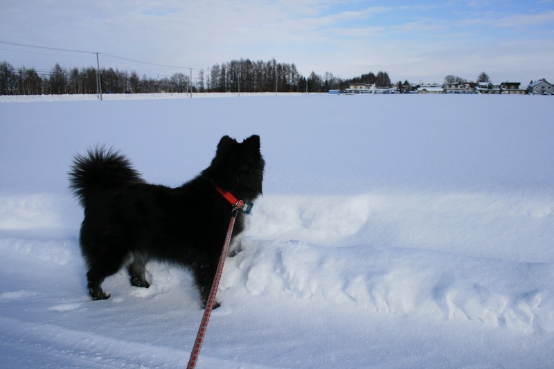 ファイル 1-2.jpg